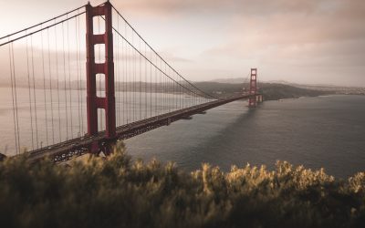 Bridges