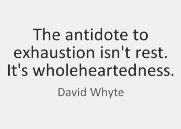 david whyte wholeheartedness